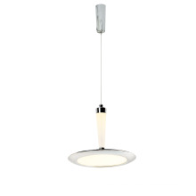 Indoor LED Decoration Light (F2103-1D)